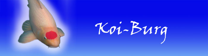 seite: koiburg