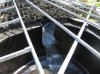 Das erste Wasser läuft