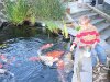 ... er füttert die Fische, bis sie so groß und stark sind wie er.